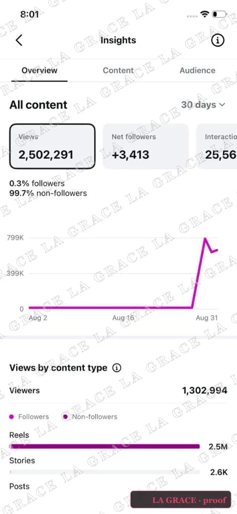 Instagram Overview 30 днів · 99.7% non-followers · Reels 2.5M